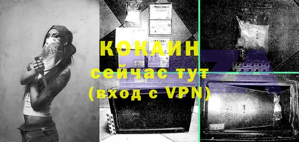 apvp Белая Холуница
