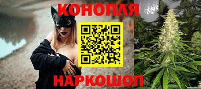 прущие грибы Белорецк