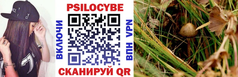 Галлюциногенные грибы Cubensis закладки Бузулук