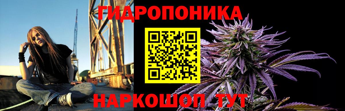 Бошки Шишки OG Kush Бузулук